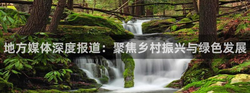 地方媒体深度报道：聚焦乡村振兴与绿色发展