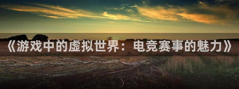 《游戏中的虚拟世界：电竞赛事的魅力》