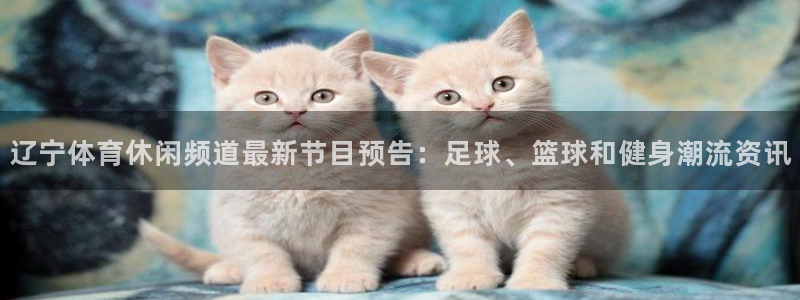 辽宁体育休闲频道最新节目预告：足球、篮球