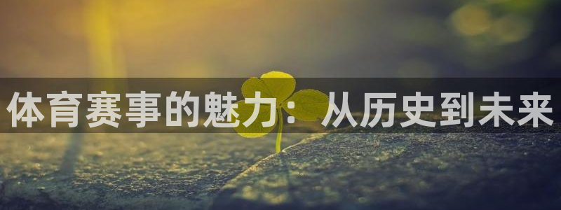 体育赛事的魅力：从历史到未来