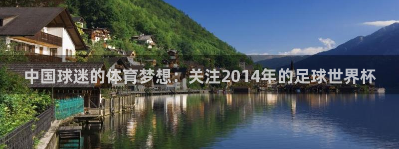 中国球迷的体育梦想：关注2014年的足球
