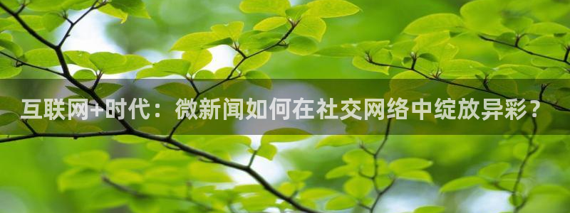 互联网+时代：微新闻如何在社交网络中绽放
